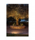 Led, Earth Spike, Anthracite, 230V, 3000K, IP55