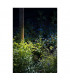 Led, Earth Spike, Green, 230V, 3000K, IP55