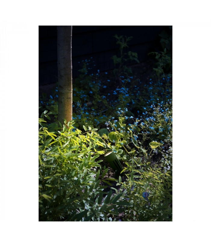 Led, Earth Spike, Green, 230V, 3000K, IP55