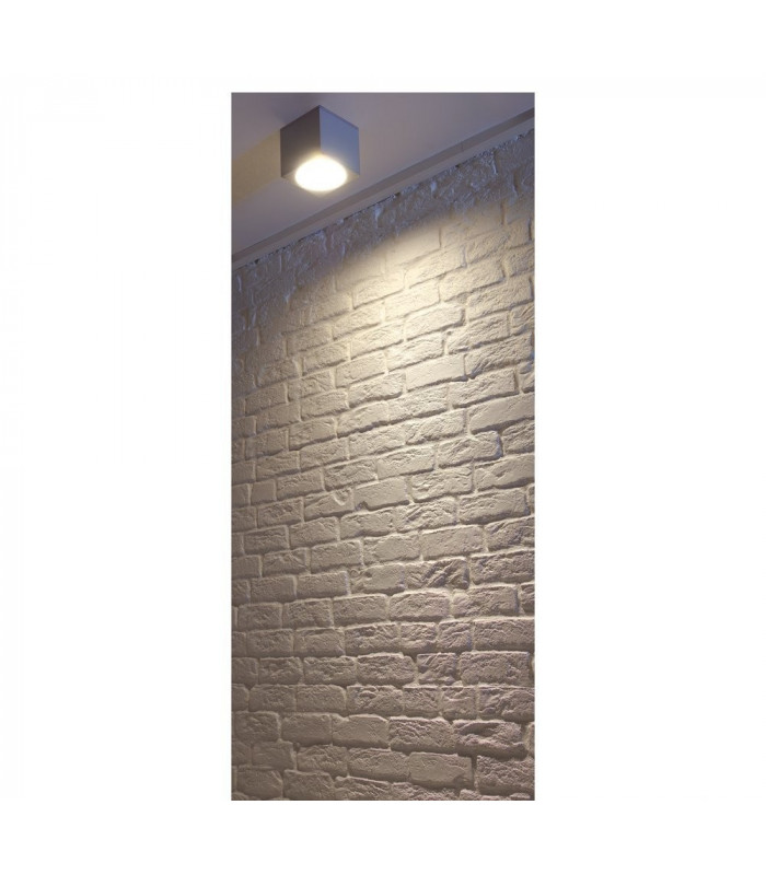 1 Light Outdoor Surface Mounted Ceiling Light, Square, Silver-Grey, Es111, IP44, GU10