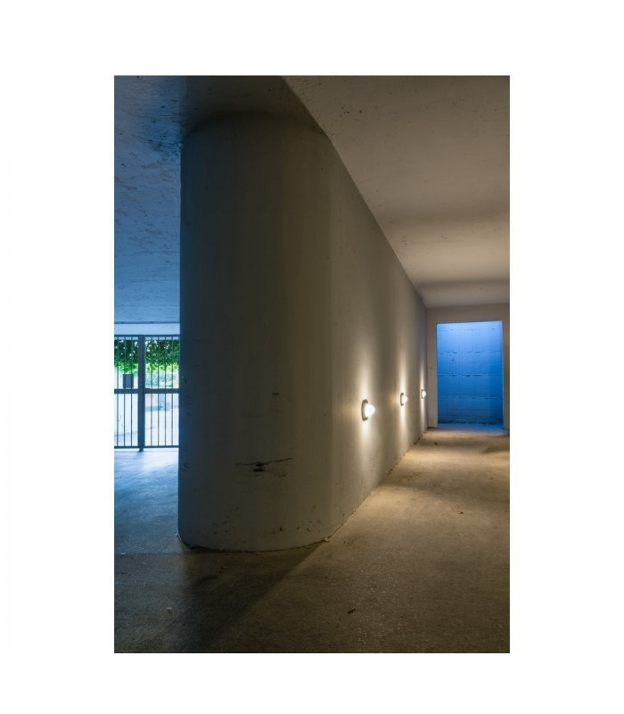 Wall And Ceiling Light, Oval, Anthracite, 3000K, Ip44